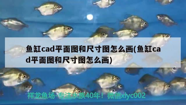 鱼缸cad平面图和尺寸图怎么画(鱼缸cad平面图和尺寸图怎么画) 潜水泵