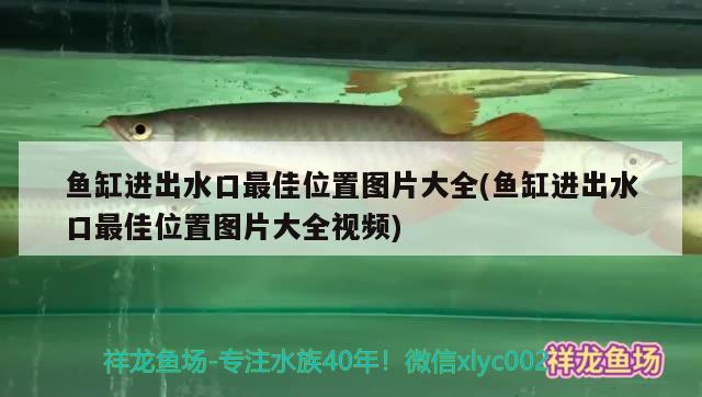 鱼缸进出水口最佳位置图片大全(鱼缸进出水口最佳位置图片大全视频) 红龙福龙鱼