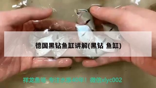 鱼缸如何安装转鼓微滤机图片视频(水产养殖转鼓微滤机DIY)