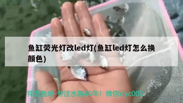 鱼缸荧光灯改led灯(鱼缸led灯怎么换颜色)