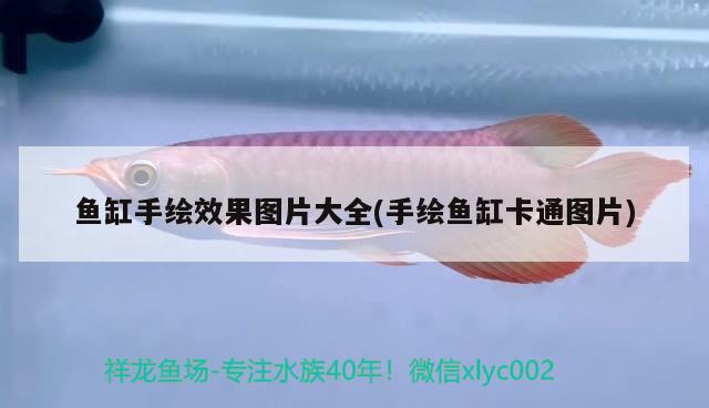 一个塑料瓶怎么做鱼缸 塑料瓶diy鱼缸 养鱼的好处 第3张