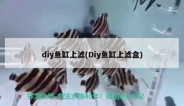 diy鱼缸上滤(Diy鱼缸上滤盒)