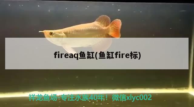 fireaq鱼缸(鱼缸fire标)