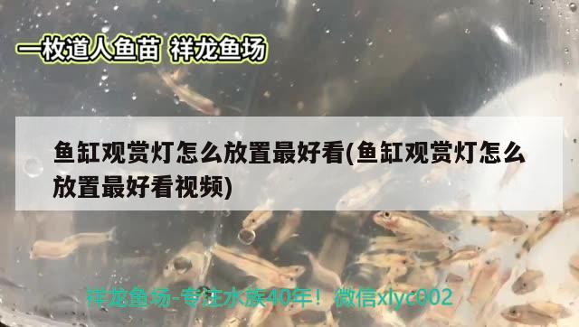 牡丹江58同城二手鱼缸出售电话号 牡丹江58同城二手鱼缸出售电话号码 水族周边 第1张