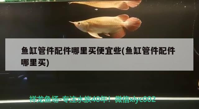 鱼缸管件配件哪里买便宜些(鱼缸管件配件哪里买) 广州水族批发市场