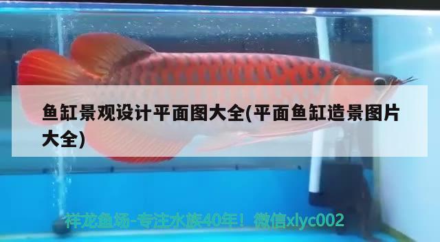 鱼缸景观设计平面图大全(平面鱼缸造景图片大全) 广州景观设计