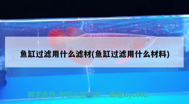 鱼缸过滤用什么滤材(鱼缸过滤用什么材料) 广州水族器材滤材批发市场