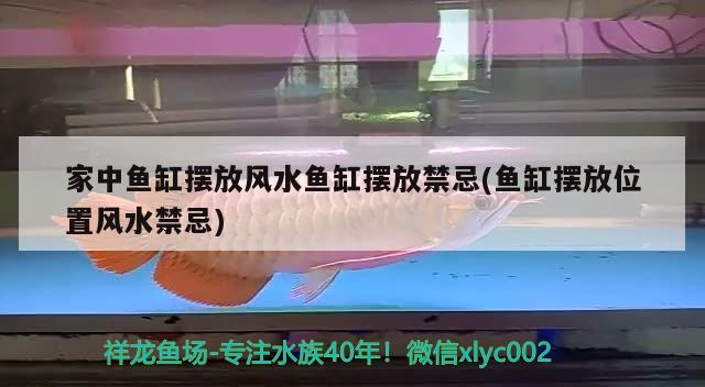 家中鱼缸摆放风水鱼缸摆放禁忌(鱼缸摆放位置风水禁忌) 鱼缸风水