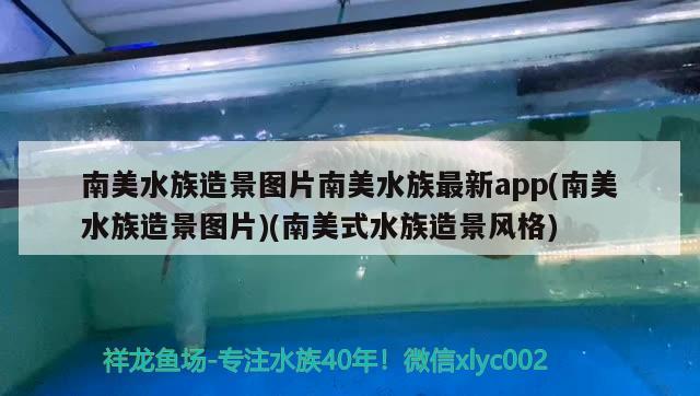 南美水族造景图片南美水族最新app(南美水族造景图片)(南美式水族造景风格)