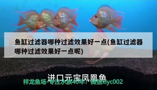 东莞哪有做鱼缸的地方啊图片 鱼缸带鞋柜价格表谁有 养鱼的好处 第1张