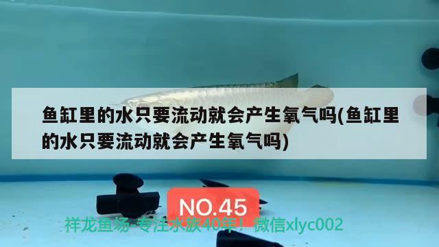 鱼缸里的水只要流动就会产生氧气吗(鱼缸里的水只要流动就会产生氧气吗)