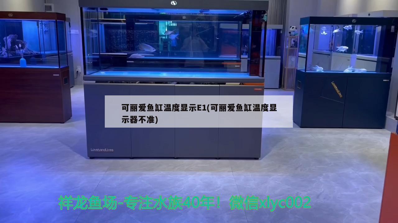 可丽爱鱼缸温度显示E1(可丽爱鱼缸温度显示器不准) 申古银版鱼