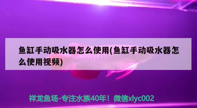 鱼缸手动吸水器怎么使用(鱼缸手动吸水器怎么使用视频) 水温计