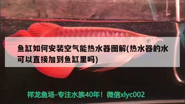 鱼缸如何安装空气能热水器图解(热水器的水可以直接加到鱼缸里吗) 定时器/自控系统