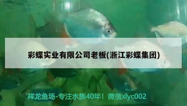 关于天津西龙鱼缸专卖店在哪儿啊的信息 祥龙龙鱼专用水族灯 第1张