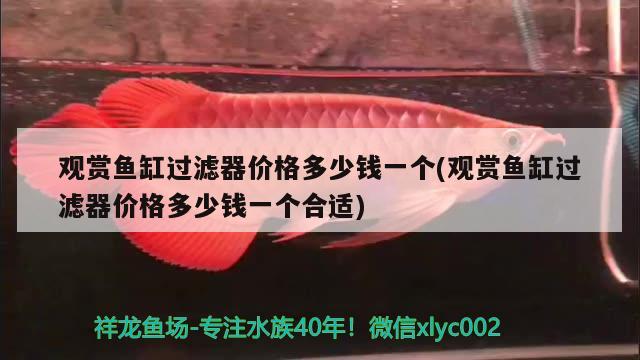 观赏鱼缸过滤器价格多少钱一个(观赏鱼缸过滤器价格多少钱一个合适)