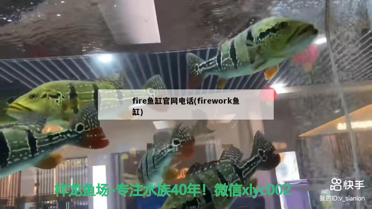 fire鱼缸官网电话(firework鱼缸)