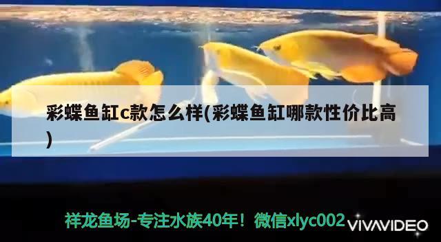 银龙鱼用什么灯光好一点（银龙鱼用开灯吗） 水族灯（鱼缸灯） 第2张