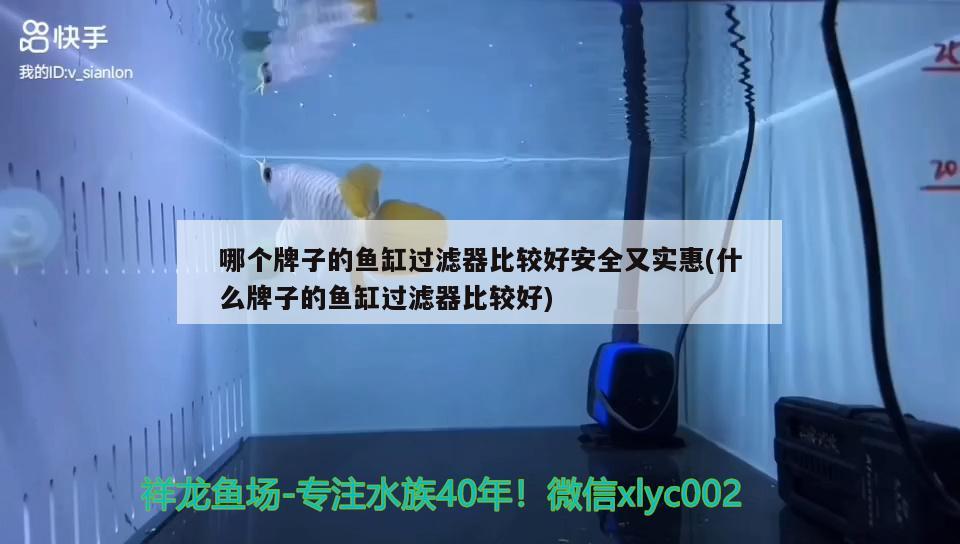 哪个牌子的鱼缸过滤器比较好安全又实惠(什么牌子的鱼缸过滤器比较好) 水族世界 第2张