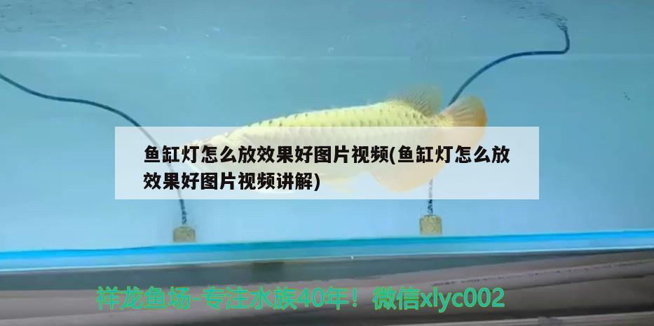 如何自制水族箱顶盖，三合一鱼缸怎么拆除上盖