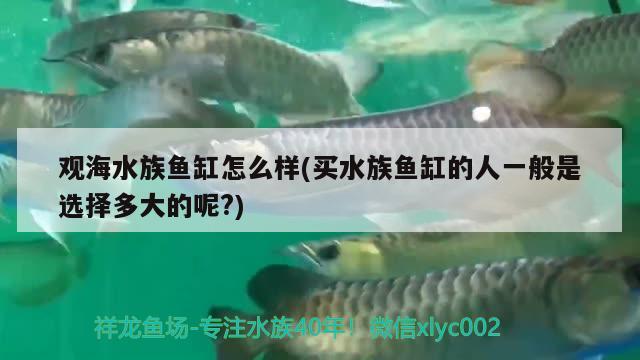 观海水族鱼缸怎么样(买水族鱼缸的人一般是选择多大的呢?) 三间鼠鱼