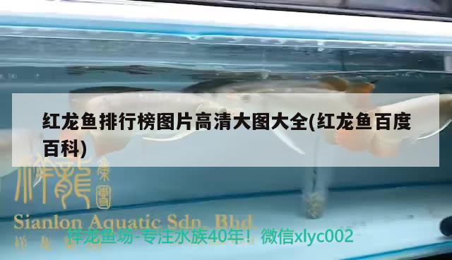 罗庄区海纳利尔水族用品店 水族用品 第3张