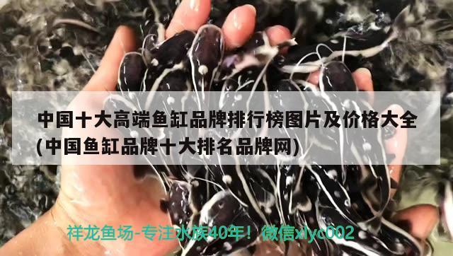 中国十大高端鱼缸品牌排行榜图片及价格大全(中国鱼缸品牌十大排名品牌网)