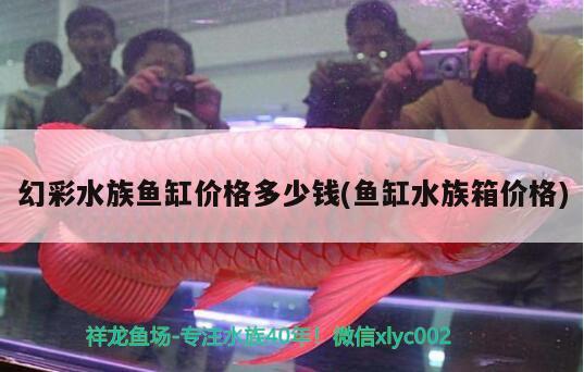 幻彩水族鱼缸价格多少钱(鱼缸水族箱价格) 鱼缸/水族箱