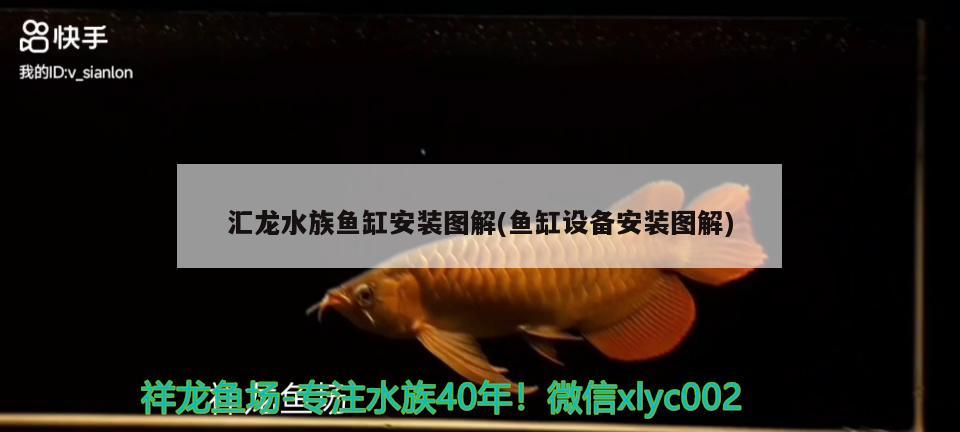 汇龙水族鱼缸安装图解(鱼缸设备安装图解) 黄宽带蝴蝶鱼