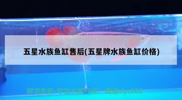 五星水族鱼缸售后(五星牌水族鱼缸价格)