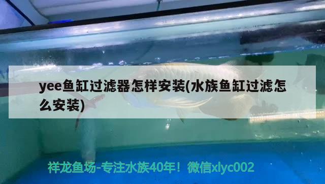 yee鱼缸过滤器怎样安装(水族鱼缸过滤怎么安装) yee