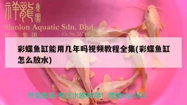 彩蝶鱼缸能用几年吗视频教程全集(彩蝶鱼缸怎么放水) 南美异型鱼