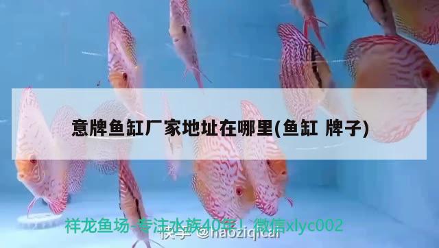 锦州滨海新区大军观赏鱼养殖厂（锦州滨海新区大军观赏鱼养殖厂电话）