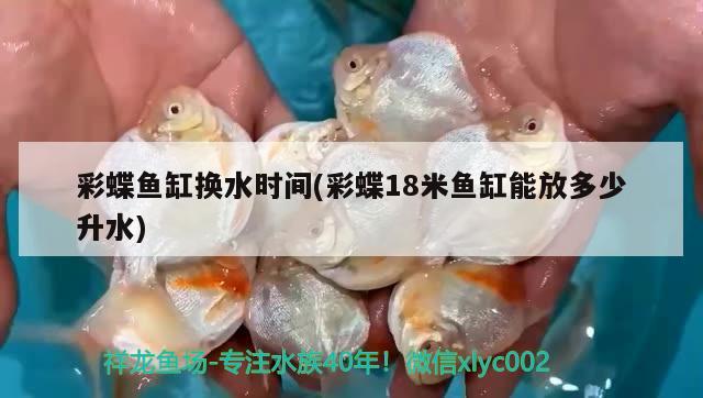 印尼虎鱼图片：印尼虎鱼吧 百度贴吧 虎鱼百科 第3张