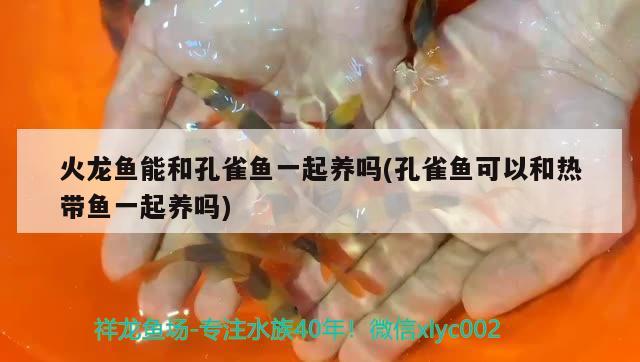 吴老师想自己做一个体积为180dm3的无盖玻璃金鱼缸放在客厅中．（1）怎样设计长、宽、高比较合理，如何自己的制作大型鱼缸