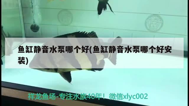 鱼缸静音水泵哪个好(鱼缸静音水泵哪个好安装) 委内瑞拉奥里诺三间鱼