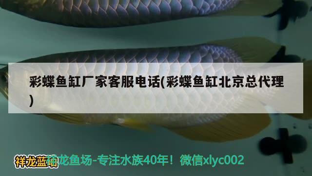 太原市鱼缸定做厂家直销价格表最新 太原市鱼缸定做厂家直销价格表最新电话 招财战船鱼