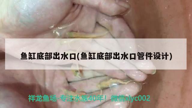 鱼缸底部出水口(鱼缸底部出水口管件设计) 古典过背金龙鱼