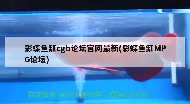 彩蝶鱼缸cgb论坛官网最新(彩蝶鱼缸MPG论坛)