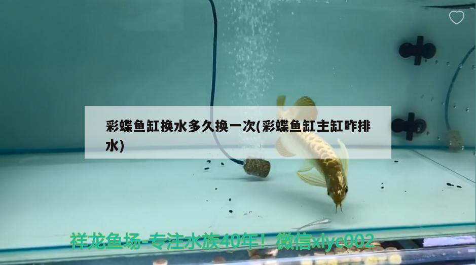 水族箱过滤棉怎么铺（水族箱鱼缸过滤棉） 鱼缸/水族箱 第3张