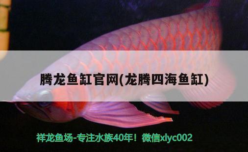 进门风水鱼缸(进门鱼缸摆放位置风水禁忌) 鱼缸风水 第3张