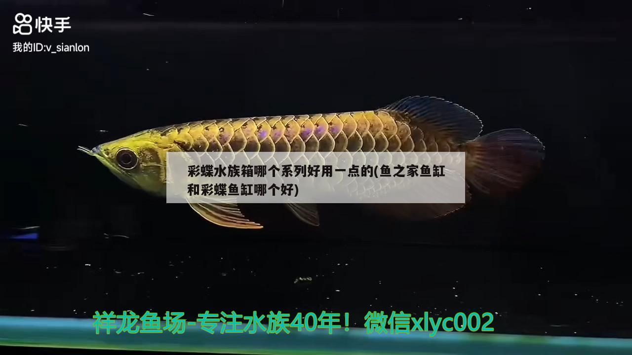 彩蝶水族箱哪个系列好用一点的(鱼之家鱼缸和彩蝶鱼缸哪个好)