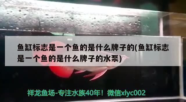 鱼缸标志是一个鱼的是什么牌子的(鱼缸标志是一个鱼的是什么牌子的水泵)