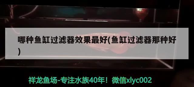 九鱼鱼缸怎么样养好看视频 九鱼寓意是什么意思是什么 祥龙水族滤材/器材