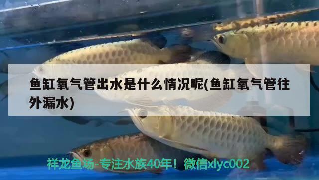 山东鱼润水族有限公司：产品质量、服务水平及市场口碑如何（山东鱼润水族有限公司在市场上享有良好的声誉和口碑） 全国水族馆企业名录 第2张