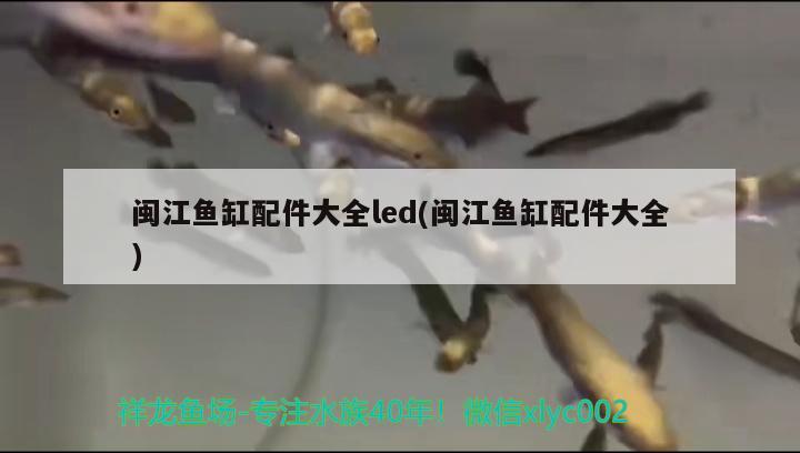 闽江鱼缸配件大全led(闽江鱼缸配件大全)