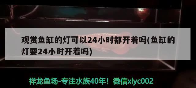 观赏鱼缸的灯可以24小时都开着吗(鱼缸的灯要24小时开着吗)