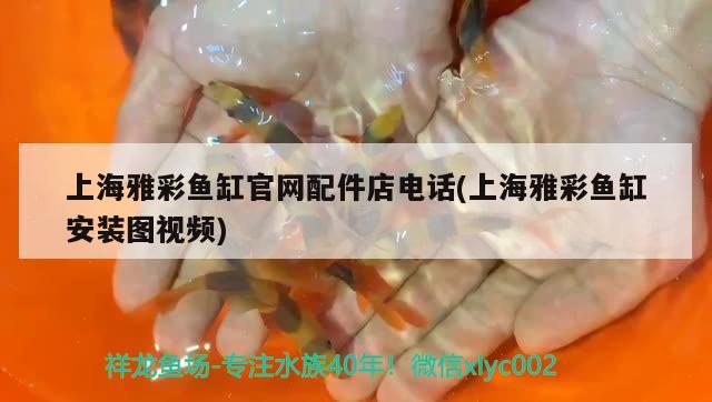 上海雅彩鱼缸官网配件店电话(上海雅彩鱼缸安装图视频) 潜水泵 第2张