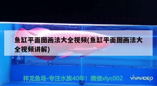 鱼缸平面图画法大全视频(鱼缸平面图画法大全视频讲解) 水族杂谈