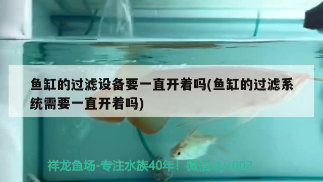 鱼缸的过滤设备要一直开着吗(鱼缸的过滤系统需要一直开着吗) 过滤设备